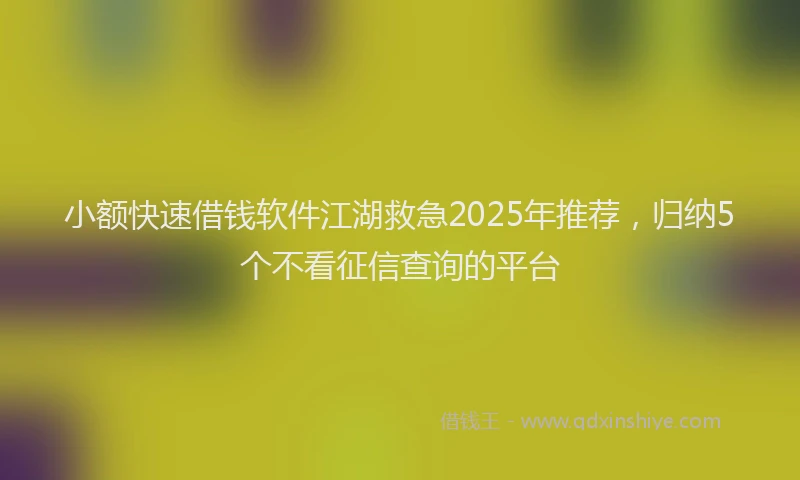 小额快速借钱软件江湖救急2025年推荐，归纳5个不看征信查询的平台