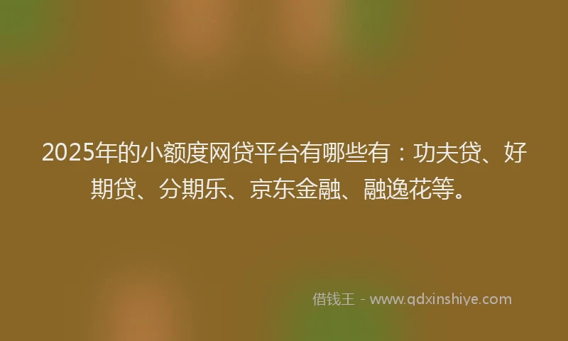 2025年的小额度网贷平台有哪些有：功夫贷、好期贷、分期乐、京东金融、融逸花等。