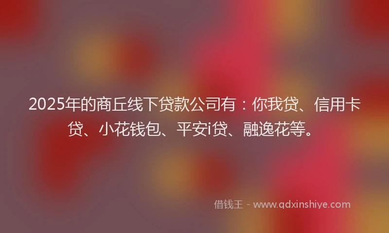 2025年的商丘线下贷款公司有：你我贷、信用卡贷、小花钱包、平安i贷、融逸花等。