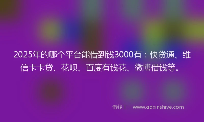2025年的哪个平台能借到钱3000有：快贷通、维信卡卡贷、花呗、百度有钱花、微博借钱等。