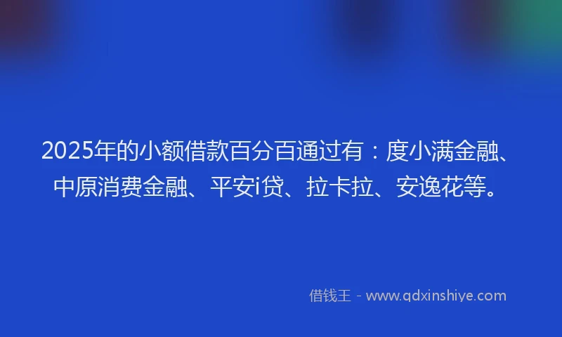 2025年的小额借款百分百通过有：度小满金融、中原消费金融、平安i贷、拉卡拉、安逸花等。