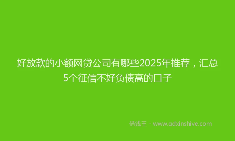 好放款的小额网贷公司有哪些2025年推荐，汇总5个征信不好负债高的口子