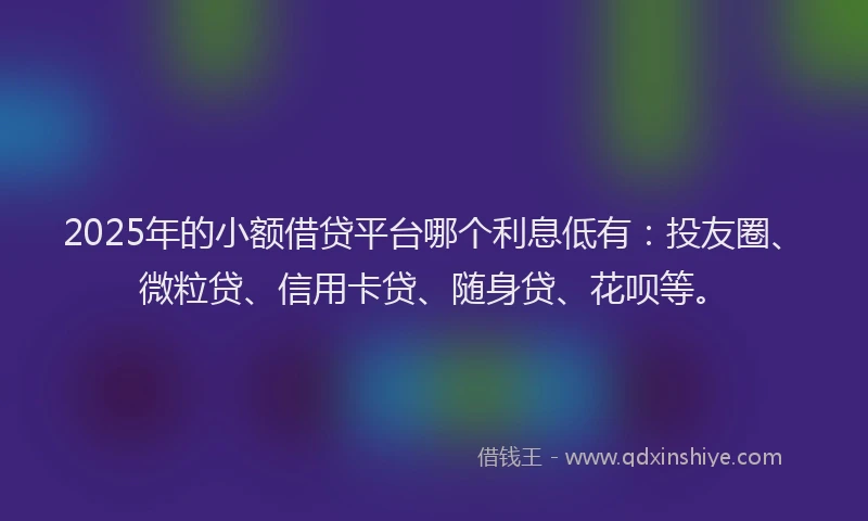 2025年的小额借贷平台哪个利息低有：投友圈、微粒贷、信用卡贷、随身贷、花呗等。