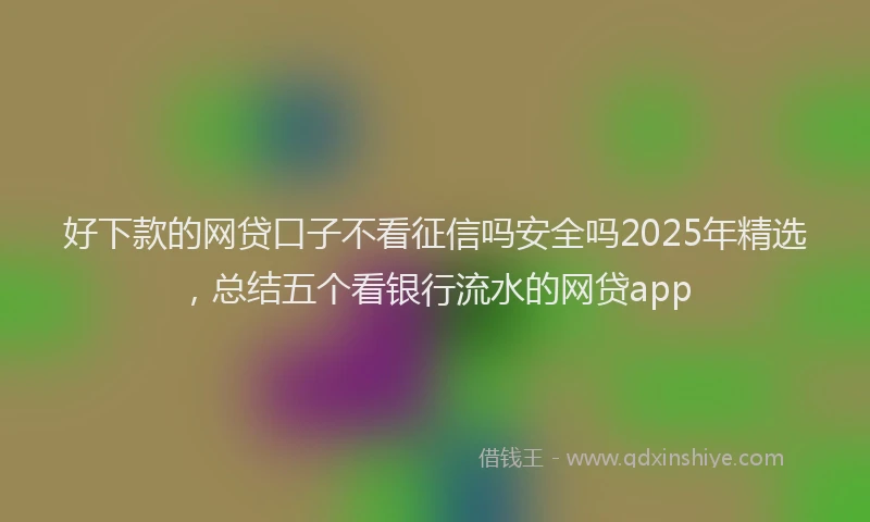 好下款的网贷口子不看征信吗安全吗2025年精选，总结五个看银行流水的网贷app