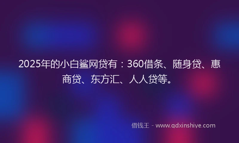2025年的小白鲨网贷有：360借条、随身贷、惠商贷、东方汇、人人贷等。