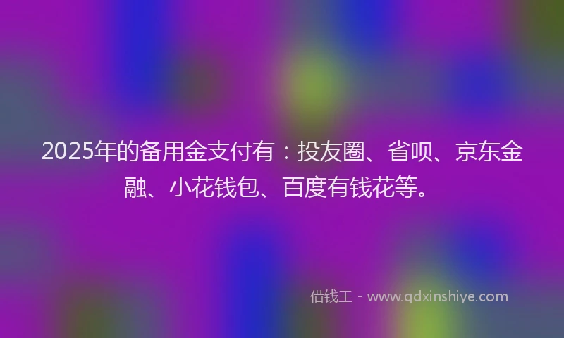 2025年的备用金支付有：投友圈、省呗、京东金融、小花钱包、百度有钱花等。