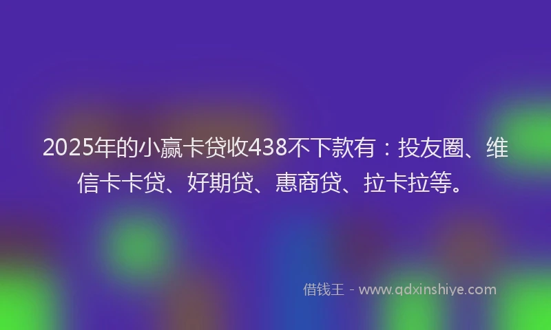 2025年的小赢卡贷收438不下款有：投友圈、维信卡卡贷、好期贷、惠商贷、拉卡拉等。