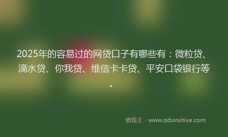 2025年的容易过的网贷口子有哪些有：微粒贷、滴水贷、你我贷、维信卡卡贷、平安口袋银行等。