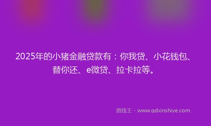 2025年的小猪金融贷款有：你我贷、小花钱包、替你还、e微贷、拉卡拉等。