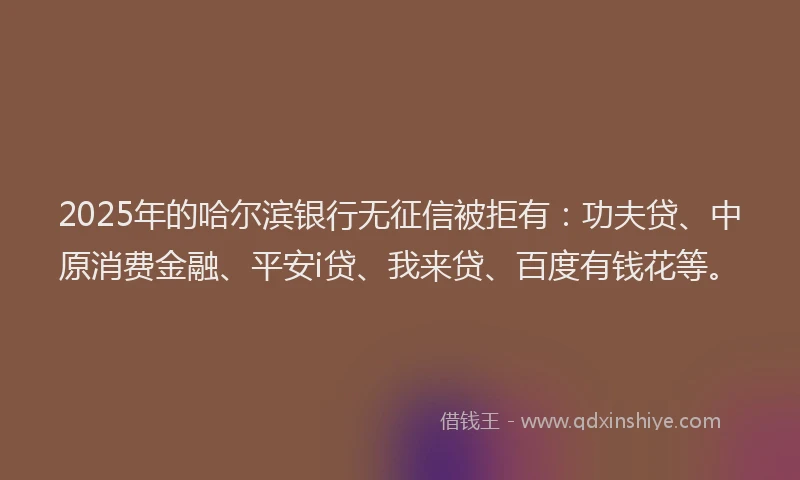 2025年的哈尔滨银行无征信被拒有：功夫贷、中原消费金融、平安i贷、我来贷、百度有钱花等。