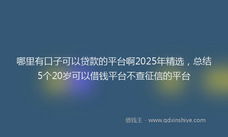 哪里有口子可以贷款的平台啊2025年精选，总结5个20岁可以借钱平台不查征信的平台