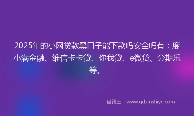 2025年的小网贷款黑口子能下款吗安全吗有：度小满金融、维信卡卡贷、你我贷、e微贷、分期乐等。