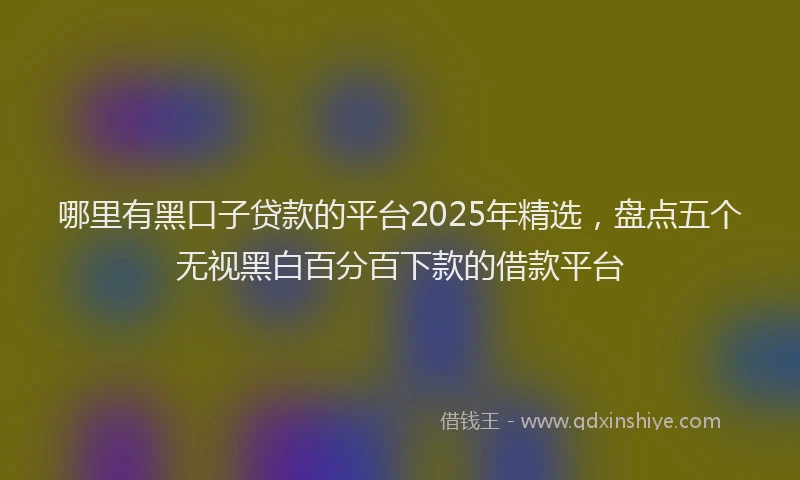哪里有黑口子贷款的平台2025年精选，盘点五个无视黑白百分百下款的借款平台