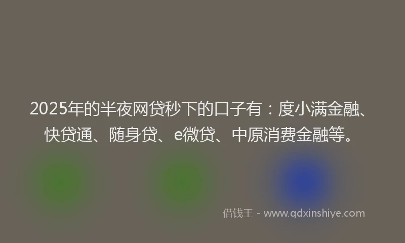 2025年的半夜网贷秒下的口子有：度小满金融、快贷通、随身贷、e微贷、中原消费金融等。