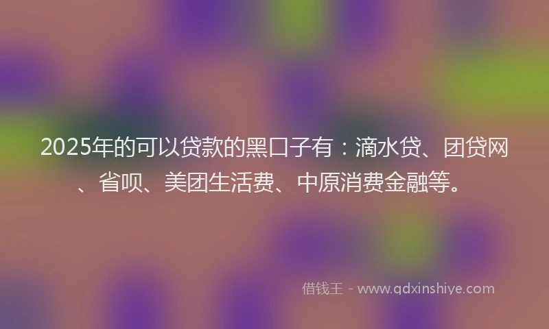 2025年的可以贷款的黑口子有：滴水贷、团贷网、省呗、美团生活费、中原消费金融等。