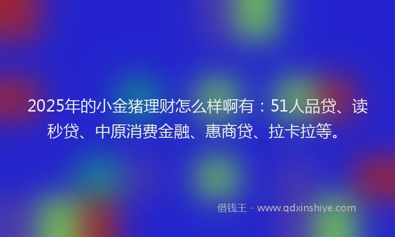 2025年的小金猪理财怎么样啊有：51人品贷、读秒贷、中原消费金融、惠商贷、拉卡拉等。