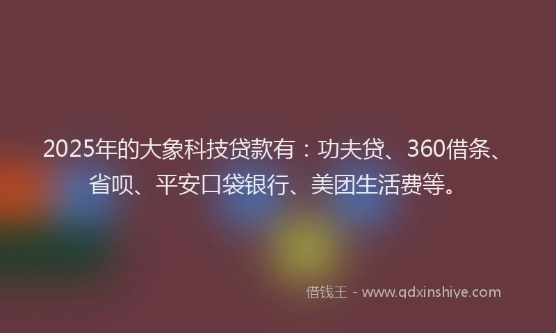 2025年的大象科技贷款有：功夫贷、360借条、省呗、平安口袋银行、美团生活费等。
