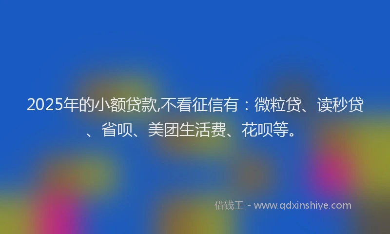 2025年的小额贷款,不看征信有：微粒贷、读秒贷、省呗、美团生活费、花呗等。