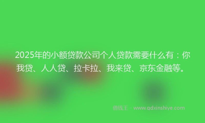 2025年的小额贷款公司个人贷款需要什么有：你我贷、人人贷、拉卡拉、我来贷、京东金融等。