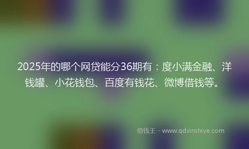 2025年的哪个网贷能分36期有：度小满金融、洋钱罐、小花钱包、百度有钱花、微博借钱等。