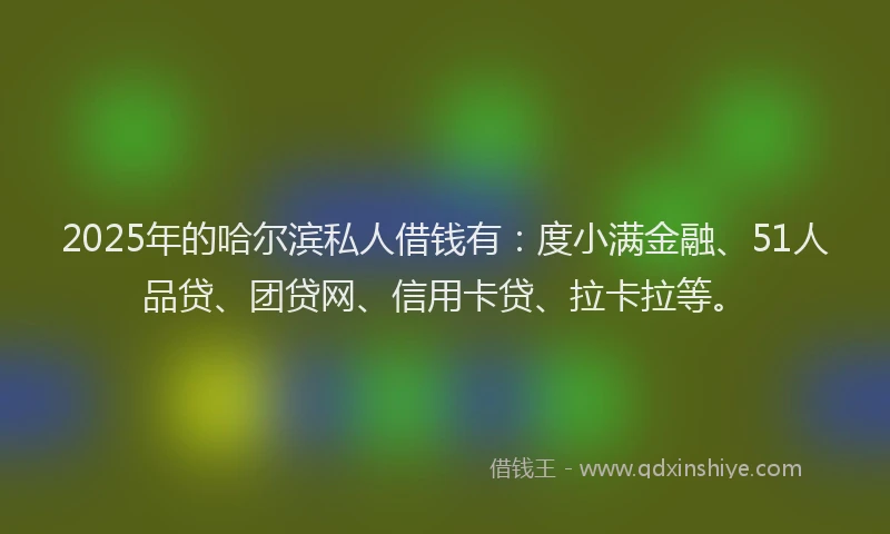 2025年的哈尔滨私人借钱有：度小满金融、51人品贷、团贷网、信用卡贷、拉卡拉等。