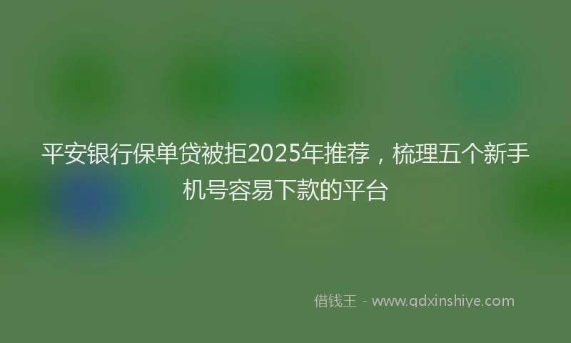 平安银行保单贷被拒2025年推荐，梳理五个新手机号容易下款的平台