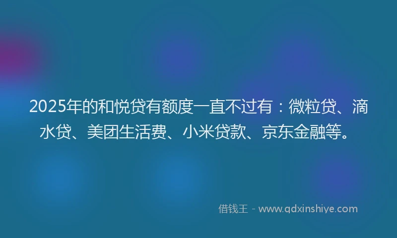 2025年的和悦贷有额度一直不过有：微粒贷、滴水贷、美团生活费、小米贷款、京东金融等。
