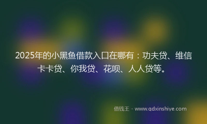 2025年的小黑鱼借款入口在哪有：功夫贷、维信卡卡贷、你我贷、花呗、人人贷等。