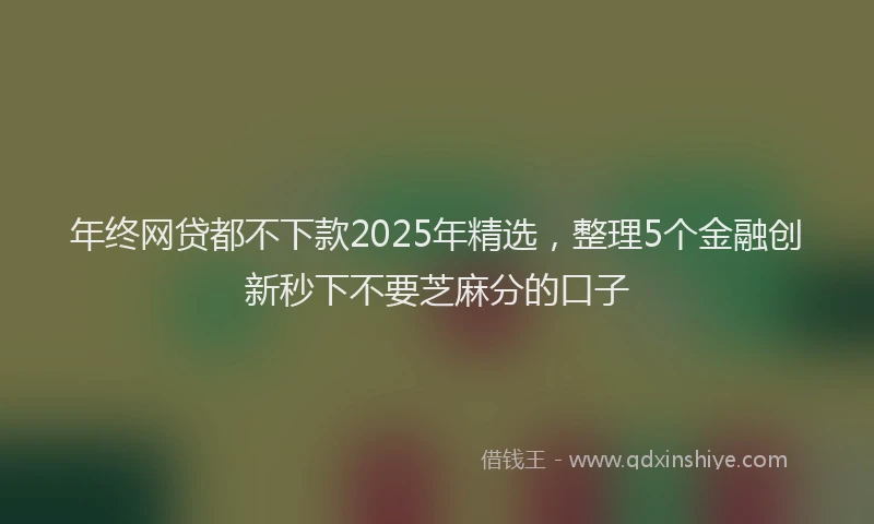 年终网贷都不下款2025年精选，整理5个金融创新秒下不要芝麻分的口子