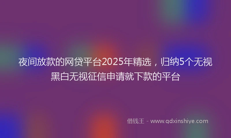夜间放款的网贷平台2025年精选，归纳5个无视黑白无视征信申请就下款的平台