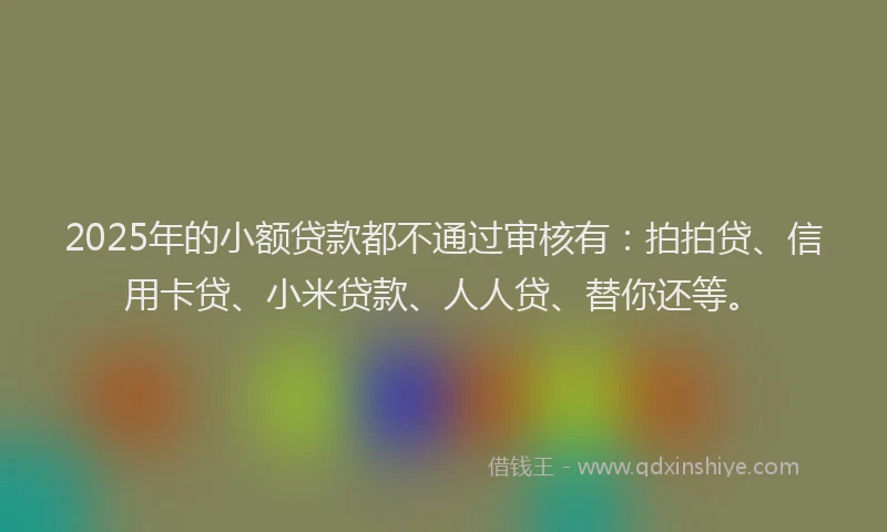2025年的小额贷款都不通过审核有：拍拍贷、信用卡贷、小米贷款、人人贷、替你还等。