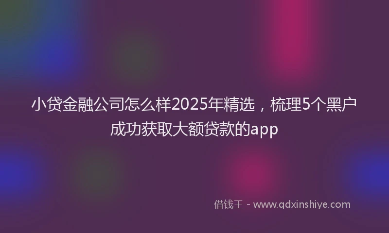 小贷金融公司怎么样2025年精选，梳理5个黑户成功获取大额贷款的app