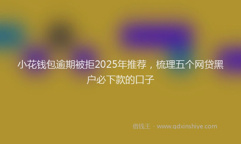 小花钱包逾期被拒2025年推荐，梳理五个网贷黑户必下款的口子