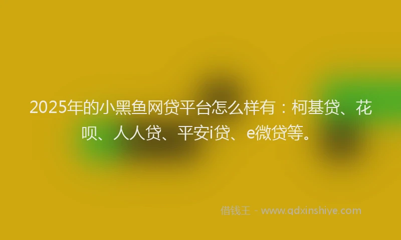 2025年的小黑鱼网贷平台怎么样有：柯基贷、花呗、人人贷、平安i贷、e微贷等。