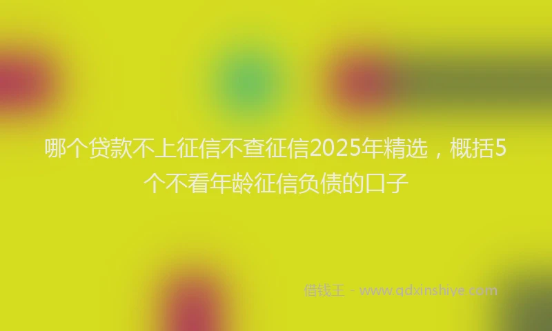 哪个贷款不上征信不查征信2025年精选，概括5个不看年龄征信负债的口子