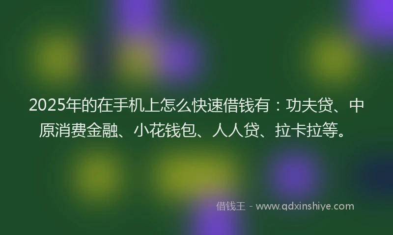 2025年的在手机上怎么快速借钱有：功夫贷、中原消费金融、小花钱包、人人贷、拉卡拉等。