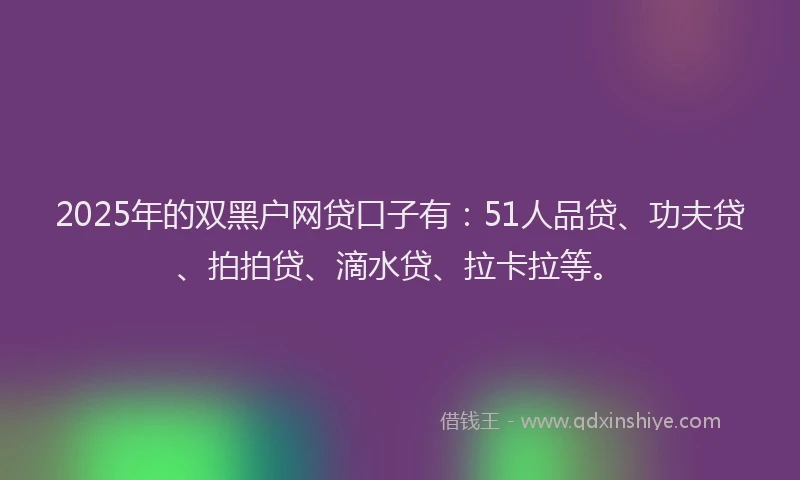 2025年的双黑户网贷口子有：51人品贷、功夫贷、拍拍贷、滴水贷、拉卡拉等。