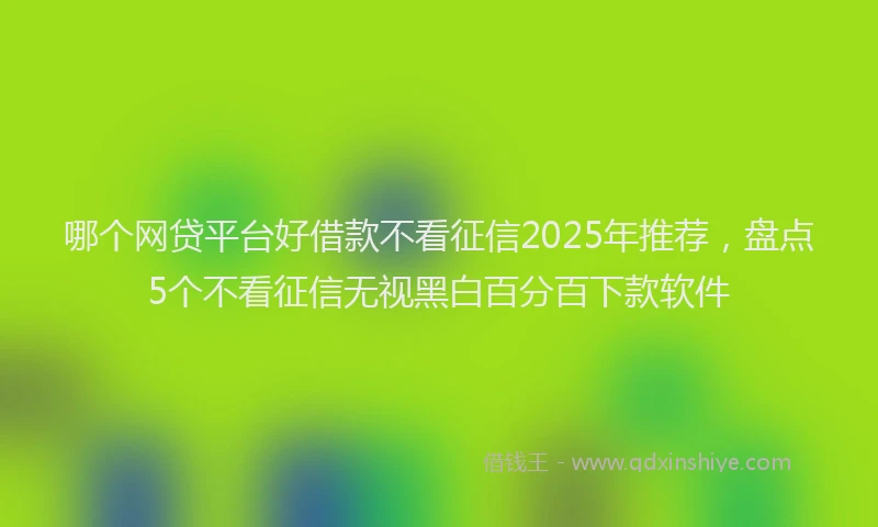 哪个网贷平台好借款不看征信2025年推荐，盘点5个不看征信无视黑白百分百下款软件