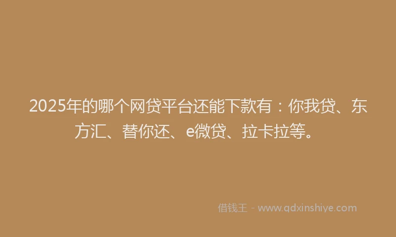 2025年的哪个网贷平台还能下款有：你我贷、东方汇、替你还、e微贷、拉卡拉等。