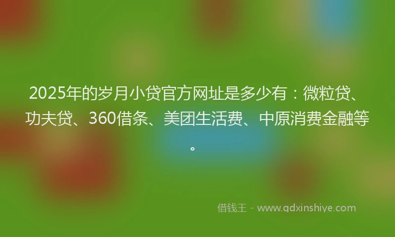 2025年的岁月小贷官方网址是多少有:微粒贷、功夫贷、360借条、美团生活费、中原消费金融等。