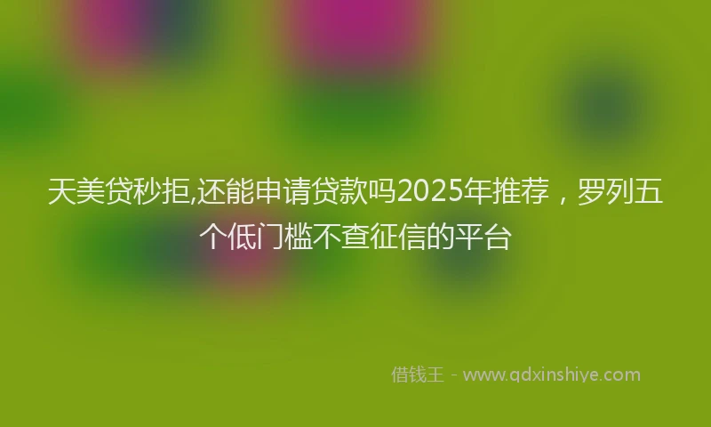 天美贷秒拒,还能申请贷款吗2025年推荐，罗列五个低门槛不查征信的平台