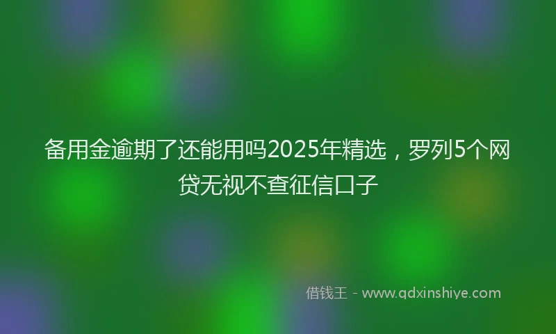 备用金逾期了还能用吗2025年精选，罗列5个网贷无视不查征信口子