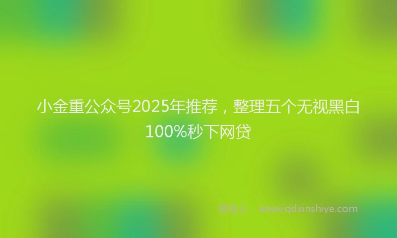 小金重公众号2025年推荐，整理五个无视黑白100%秒下网贷