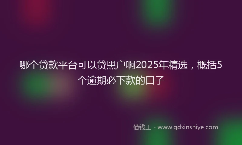 哪个贷款平台可以贷黑户啊2025年精选，概括5个逾期必下款的口子