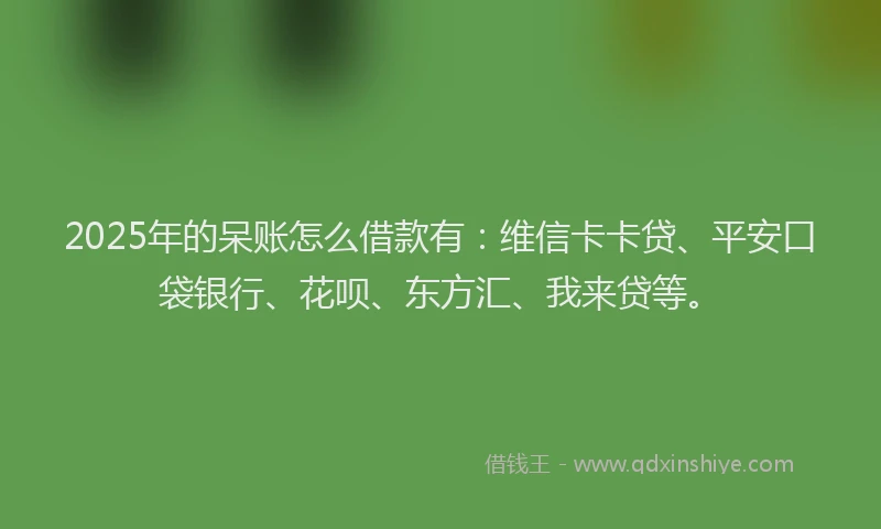 2025年的呆账怎么借款有：维信卡卡贷、平安口袋银行、花呗、东方汇、我来贷等。