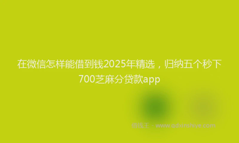 在微信怎样能借到钱2025年精选，归纳五个秒下700芝麻分贷款app