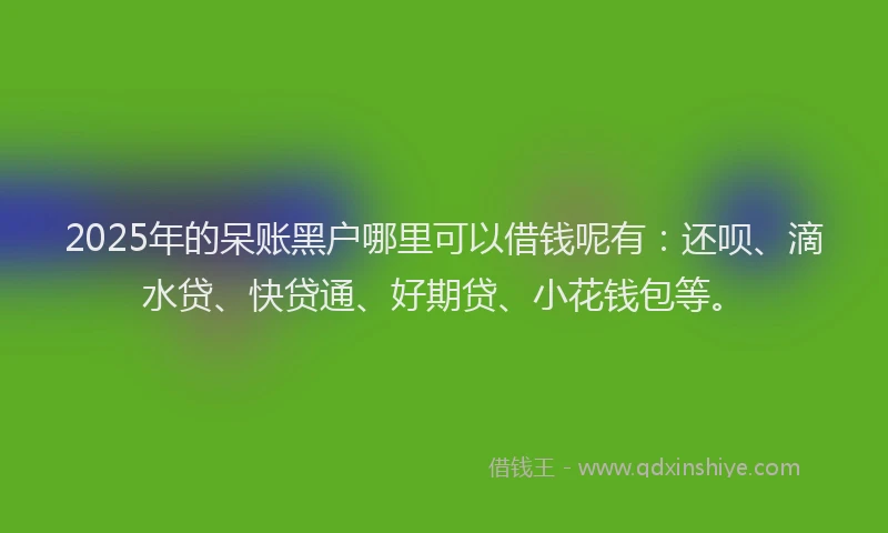 2025年的呆账黑户哪里可以借钱呢有：还呗、滴水贷、快贷通、好期贷、小花钱包等。
