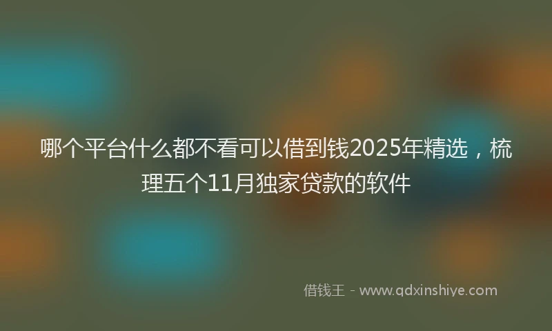 哪个平台什么都不看可以借到钱2025年精选，梳理五个11月独家贷款的软件