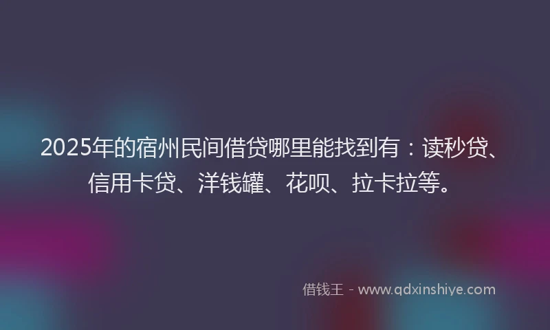 2025年的宿州民间借贷哪里能找到有：读秒贷、信用卡贷、洋钱罐、花呗、拉卡拉等。