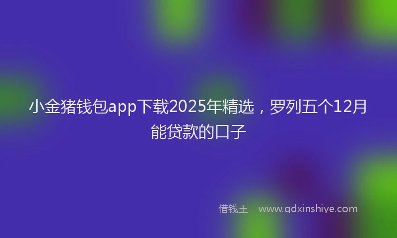小金猪钱包app下载2025年精选，罗列五个12月能贷款的口子